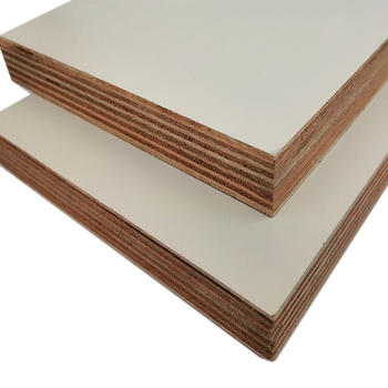 拜爾香天下大豆蛋白膠膚感板